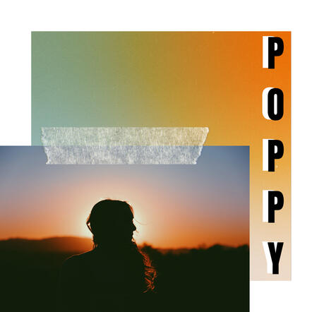 Poppy Poppy
